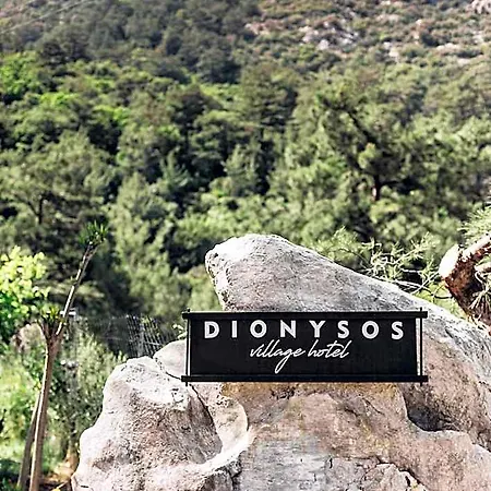 Otel Dionysos Village